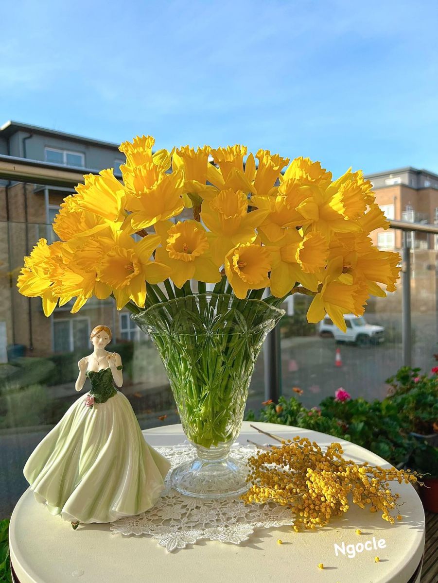 Tử vi ngày 3/10/2022 của 12 cung hoàng đạo